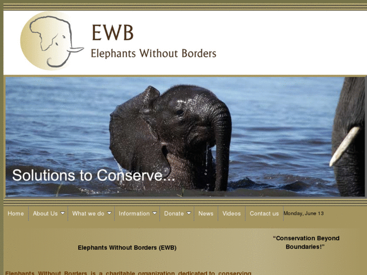 www.elephantswithoutborders.biz