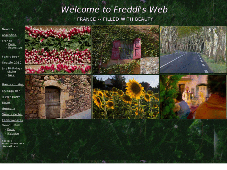 www.freddifred.com