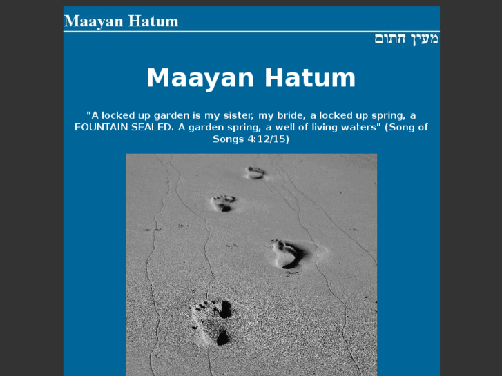 www.maayanhatum.com