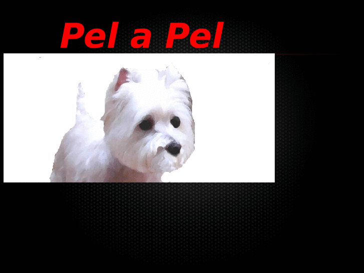 www.pelapel.net