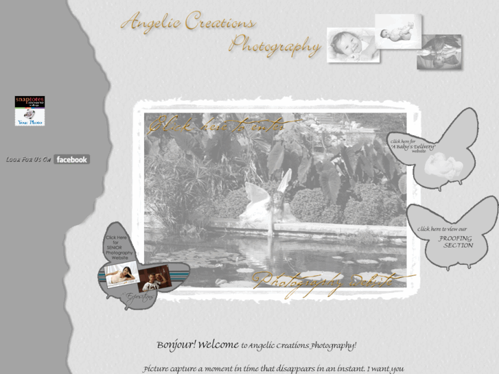 www.angeliccreationsphotography.com