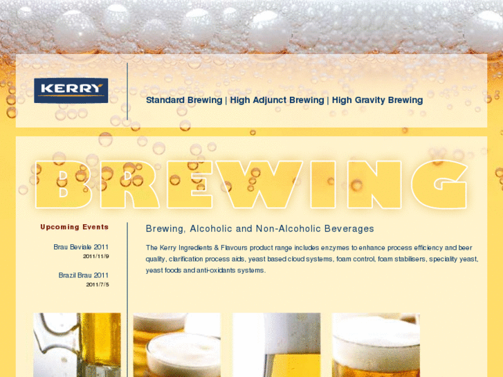 www.brewing-solutions.com