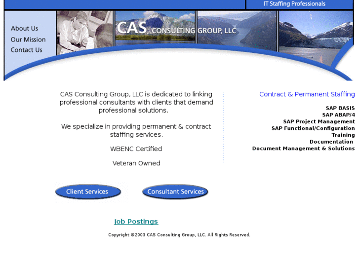 www.casconsultinggroup.com