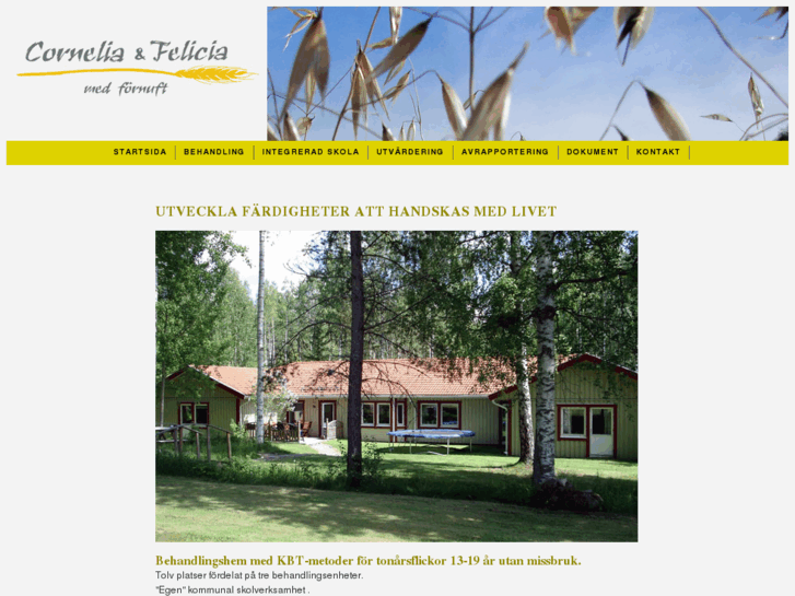 www.corneliaochfelicia.se