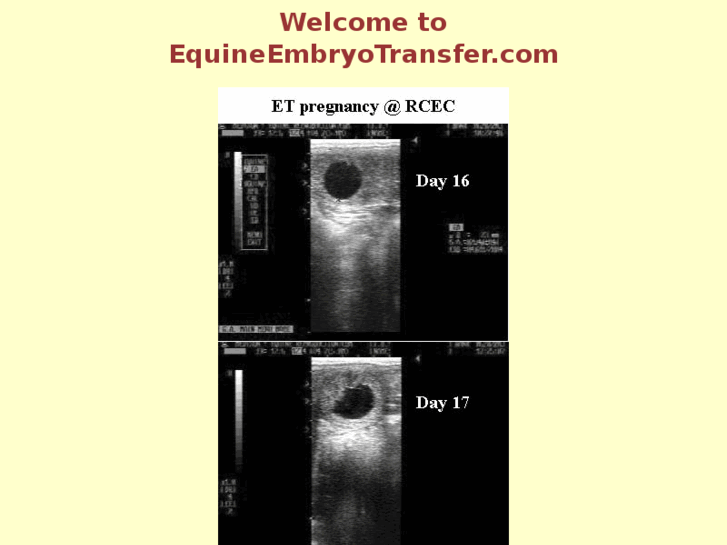 www.equineembryotransfer.com