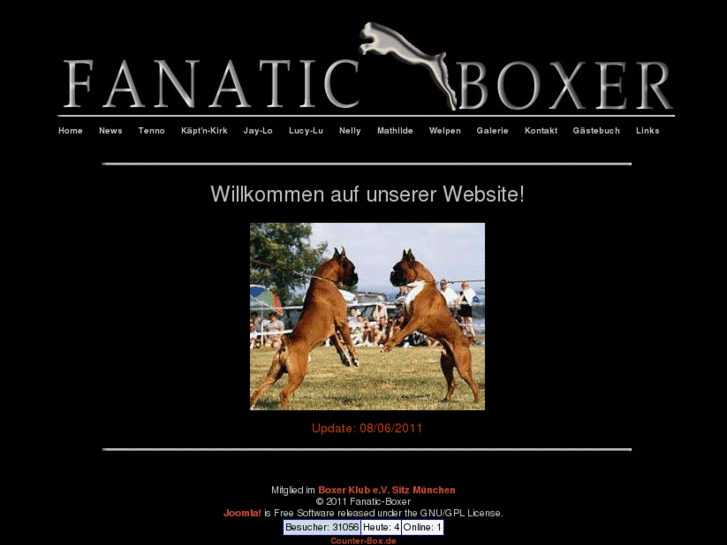 www.fanatic-boxer.de