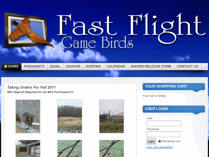 www.fastflightgamebirds.com