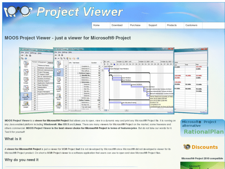 www.ms-project-viewer.com