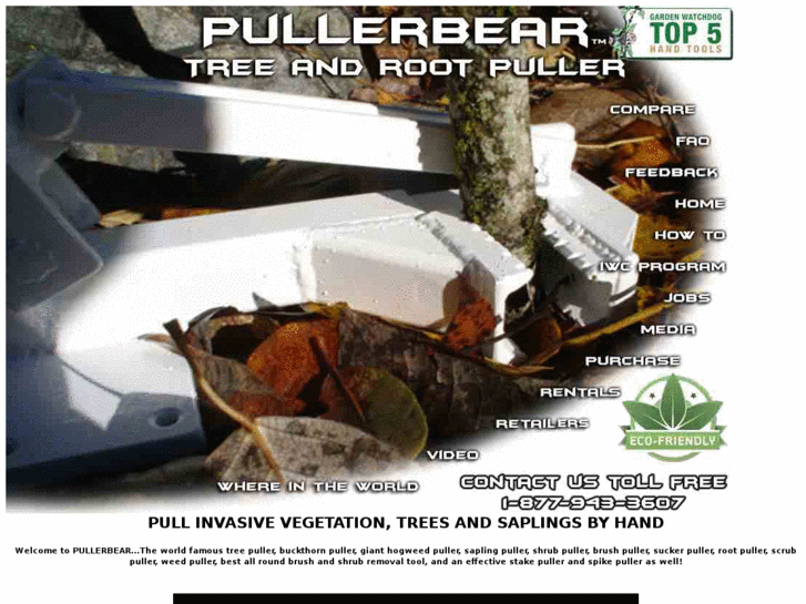 www.pullerbear.com