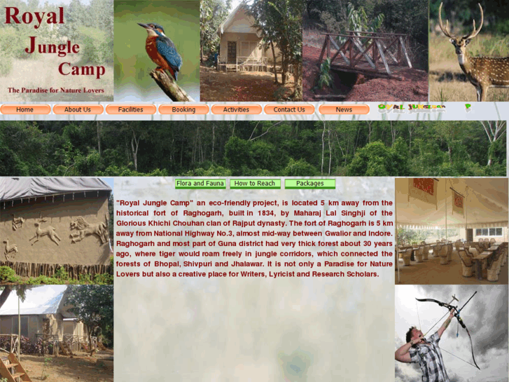 www.royaljunglecamp.com