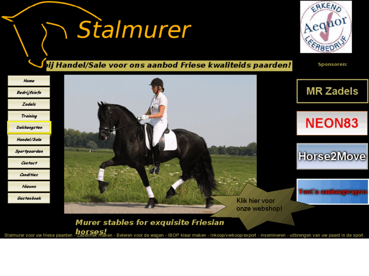 www.stalmurer.com