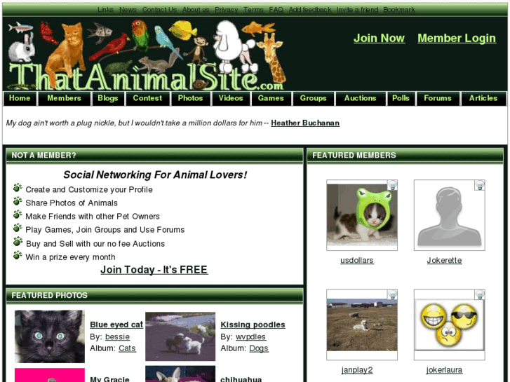 www.thatanimalsite.com