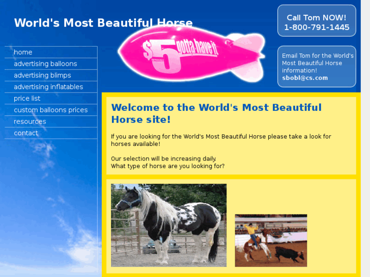 www.worldsmostbeautifulhorse.com