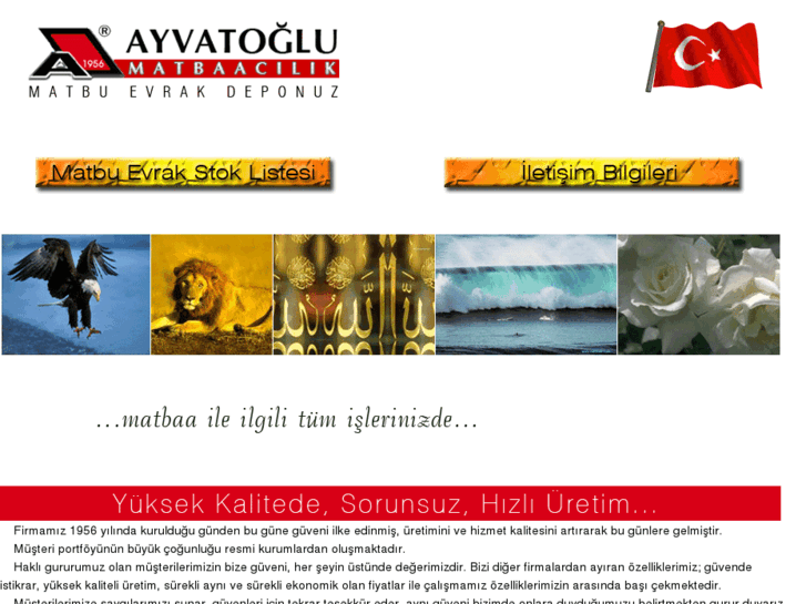 www.ayvatoglu.com