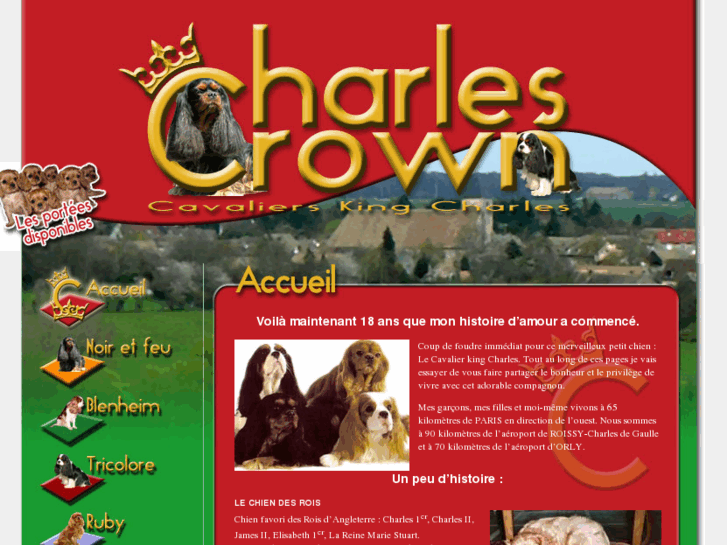 www.charlescrown.com