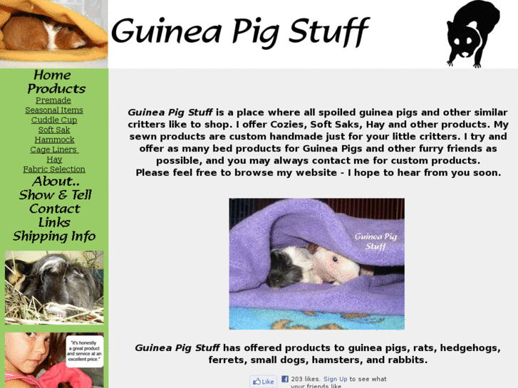 www.guineapigstuff.com