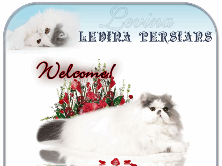 www.levina-persians.com