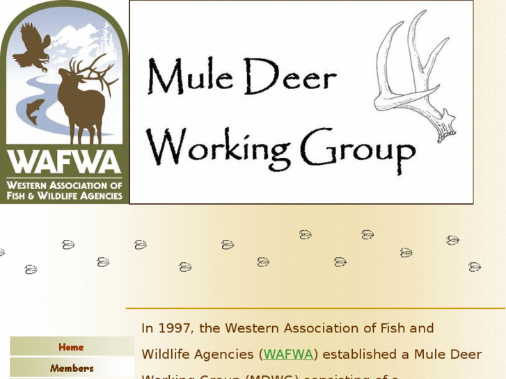 www.muledeerworkinggroup.com