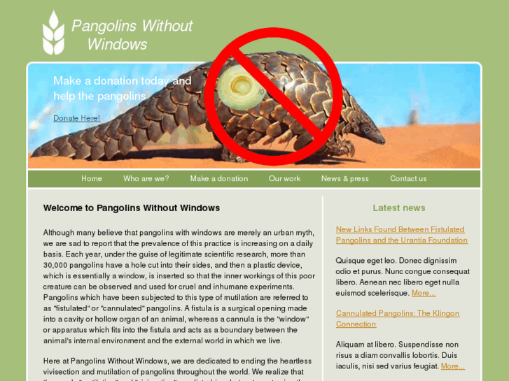 www.pangolinswithoutwindows.com