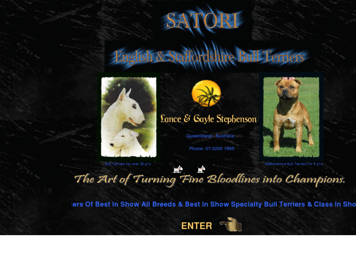 www.satori-bullterriers.com