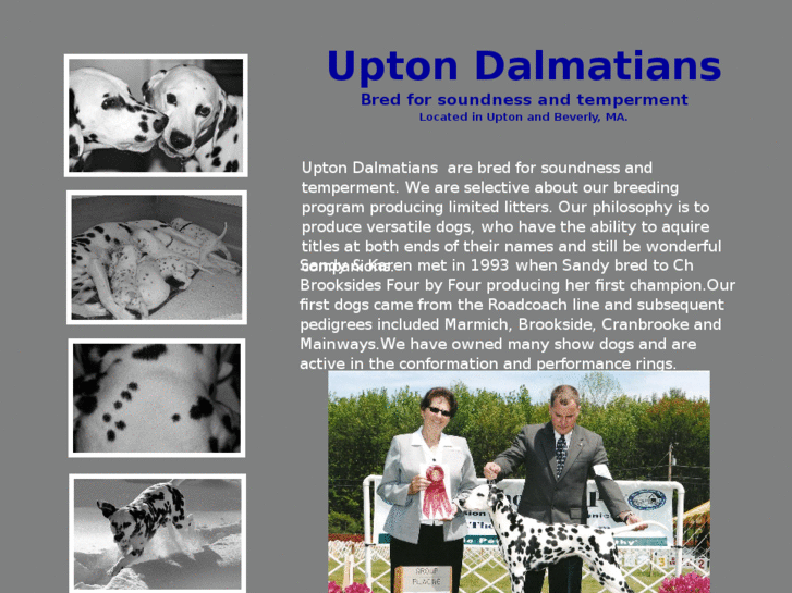 www.uptondalmatians.com