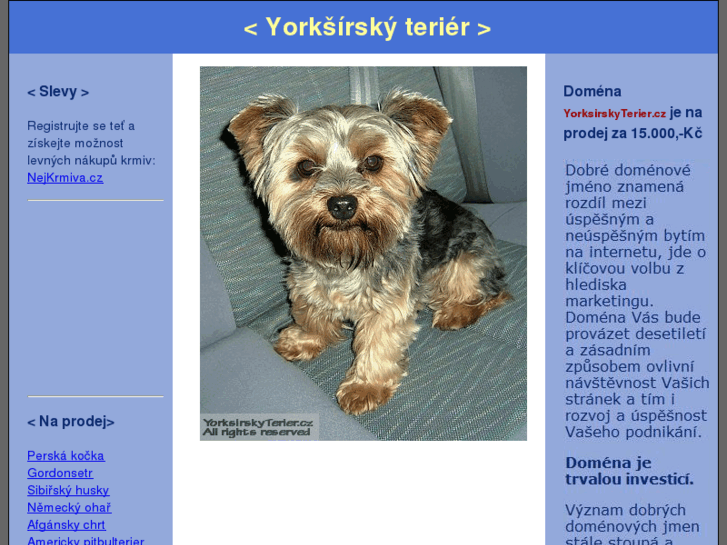 www.yorksirskyterier.cz