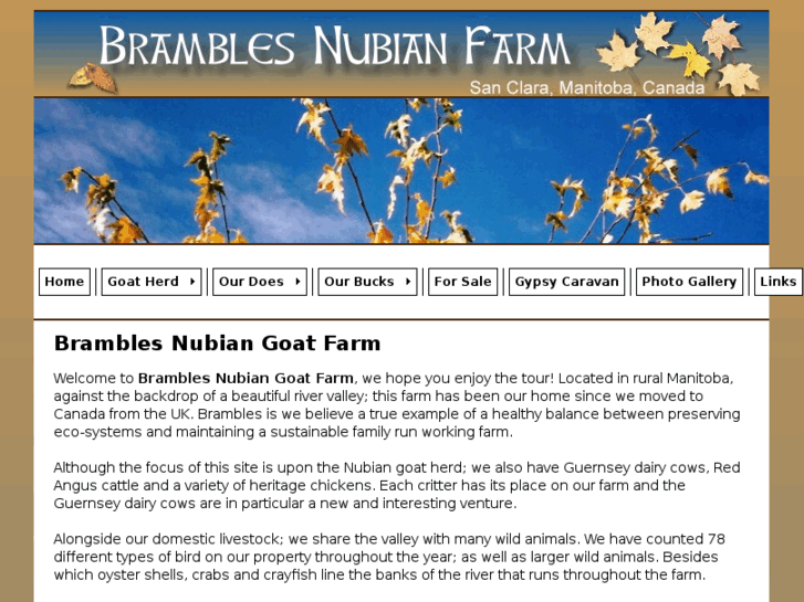 www.bramblesnubianfarm.com