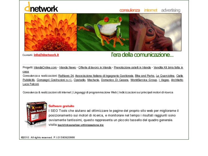 www.dnetwork.it