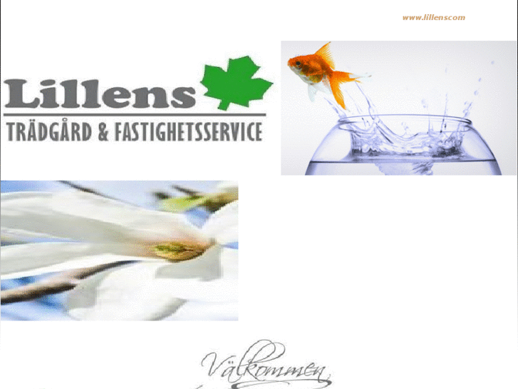 www.lillens.com