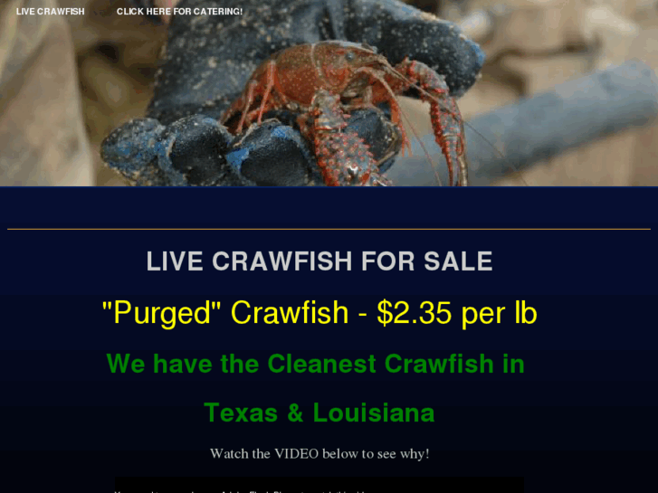 www.livecrawfishhouston.com