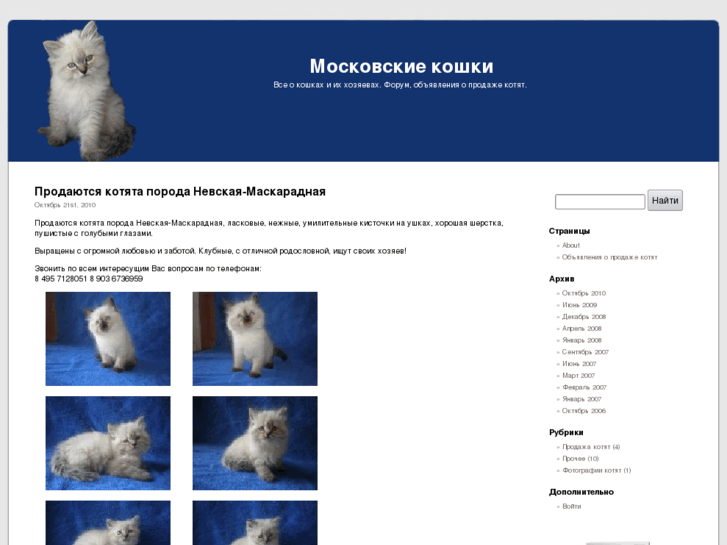 www.moscowcats.ru