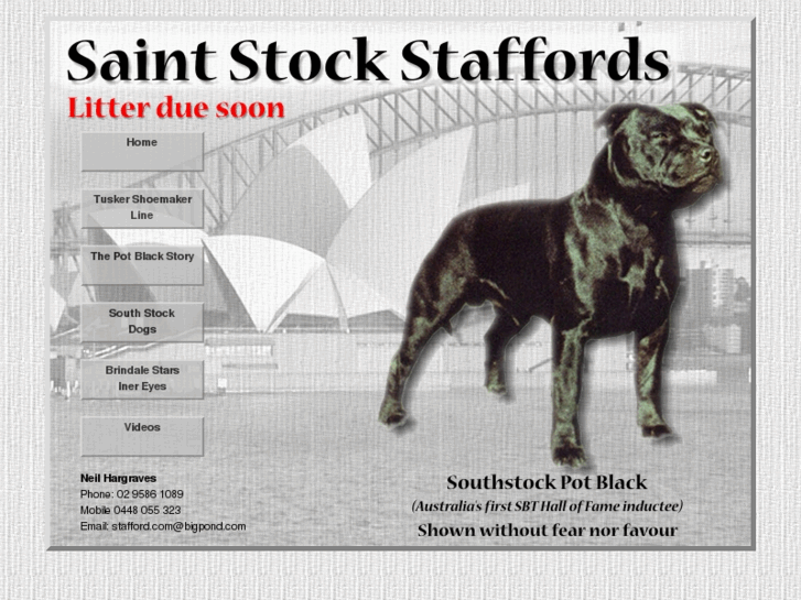 www.saintstockstaffords.com