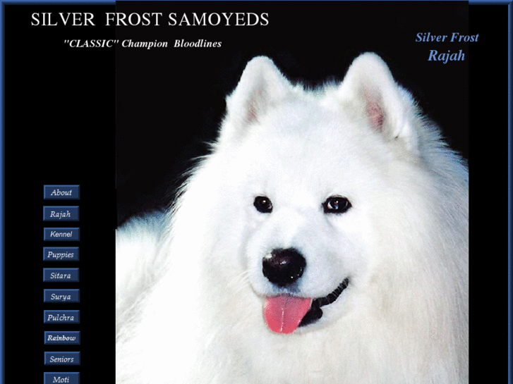 www.silverfrostsamoyeds.com