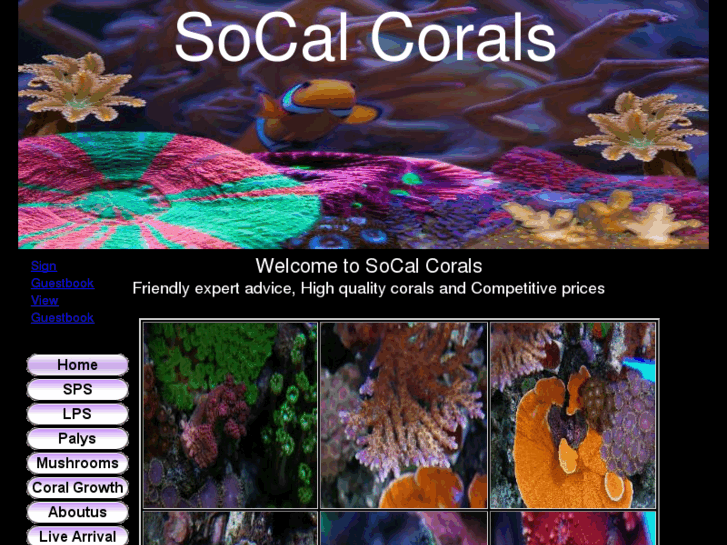 www.socalcorals.com