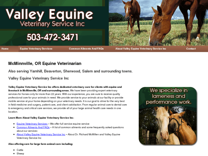 www.valleyequineveterinary.com