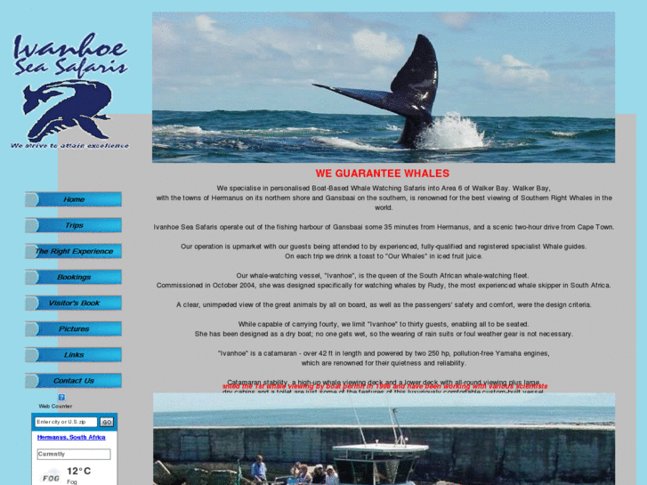 www.whaleviewing.co.za