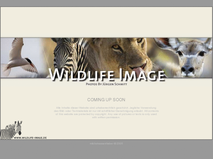 www.wildlife-image.com