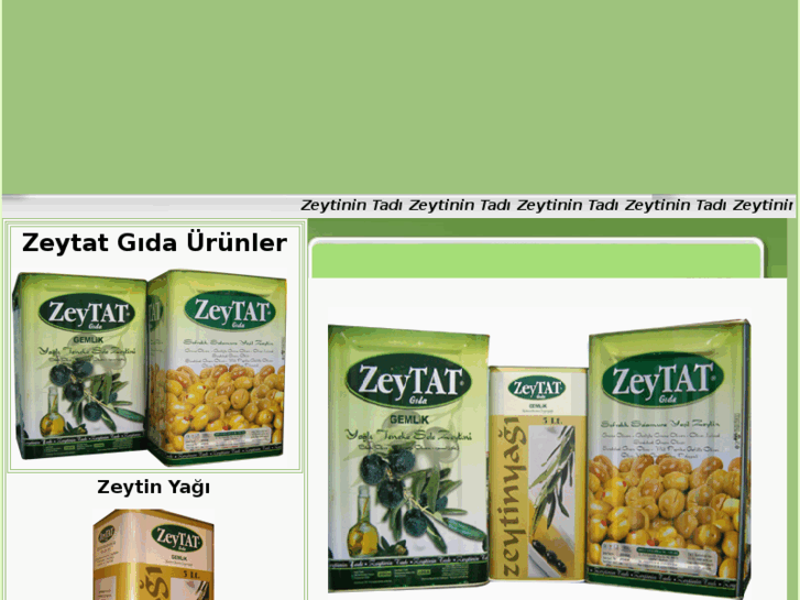 www.zeytatgida.com