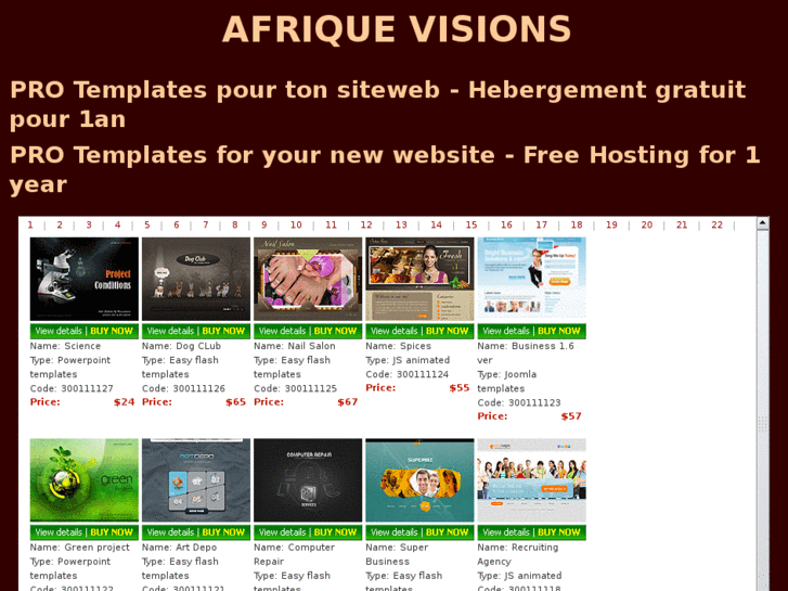 www.afriquevisions.com