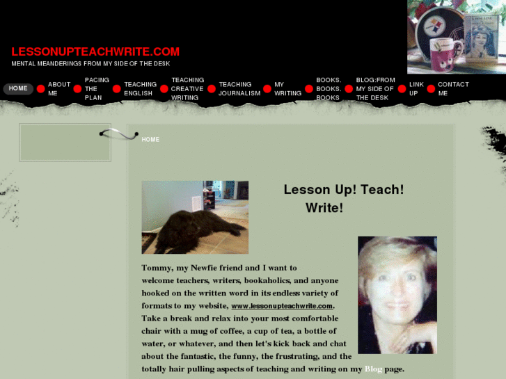 www.lessonupteachwrite.com