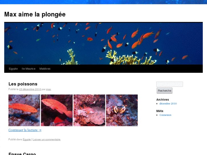 www.maxmlaplongee.com