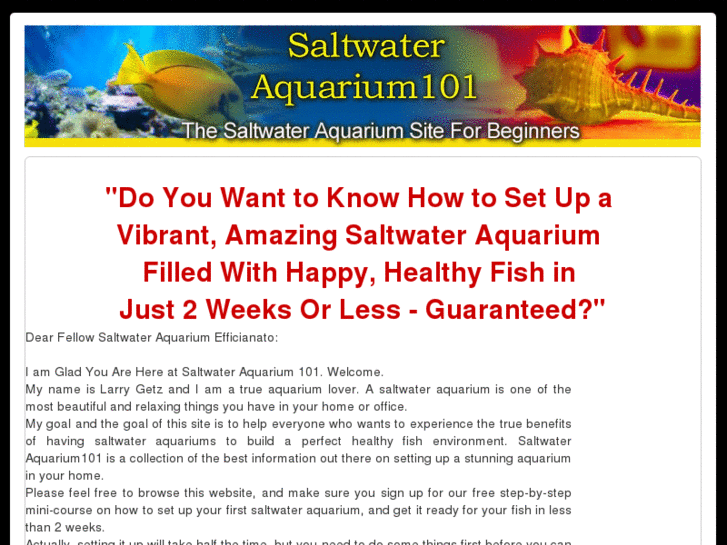 www.saltwateraquarium101.com