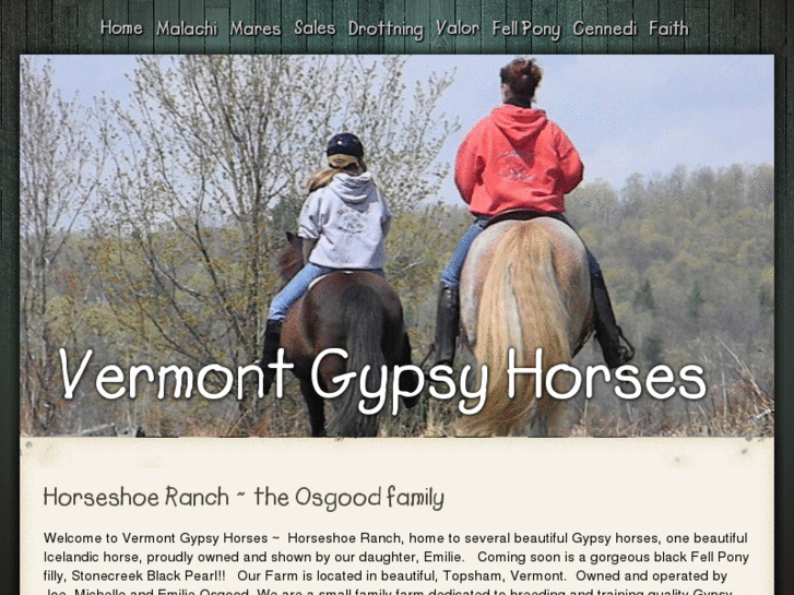 www.vermontgypsyhorses.com