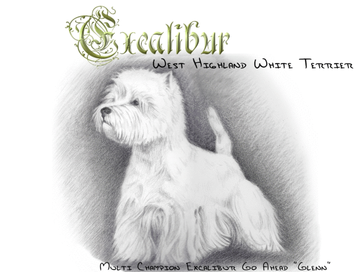 www.excalibur-westies.de