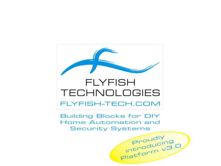 www.flyfish-electronics.com