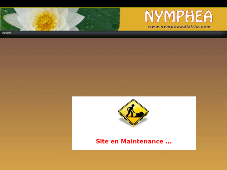 www.nympheadistrib.com