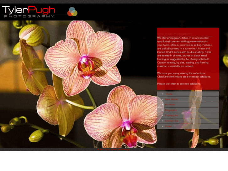 www.tylerpugh.com