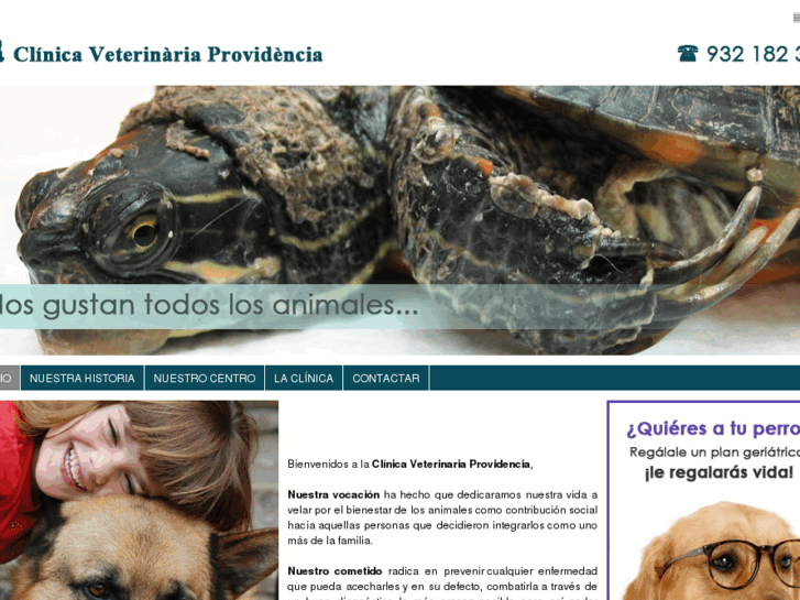 www.veterinariaprovidencia.com