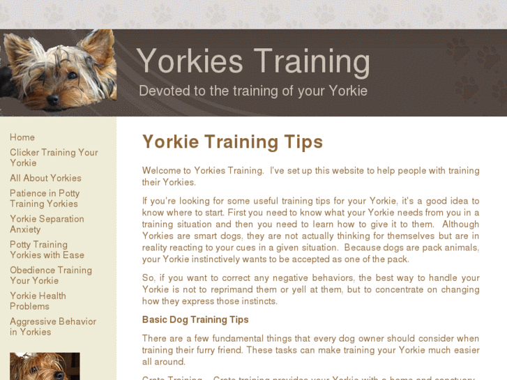 www.yorkiestraining.com