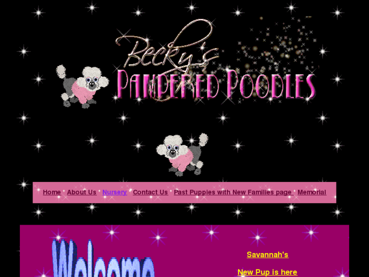 www.beckyspamperedpoodles.com